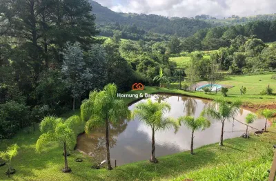 Chácara / sítio com 3 quartos à venda na Estrada Villy Moelecke, 9015, Lomba Grande, Novo Hamburgo