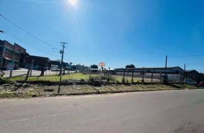 Oportunidade: terreno para venda em novo hamburgo, liberdade