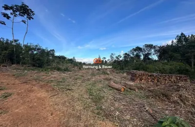 Terreno à venda na São João Do Deserto, Lomba Grande, Novo Hamburgo