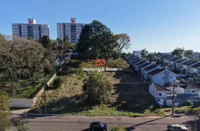 Terreno à venda em novo hamburgo, rondônia - ótima oportunidade!