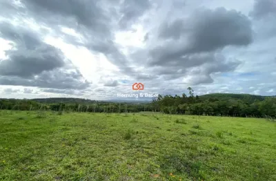 Sítio à venda em viamão, passo de areia - oportunidade única!