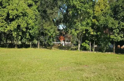 Chácara / sítio com 3 quartos à venda na Entrada Rs 240, 451, Imigrantes, Capela de Santana