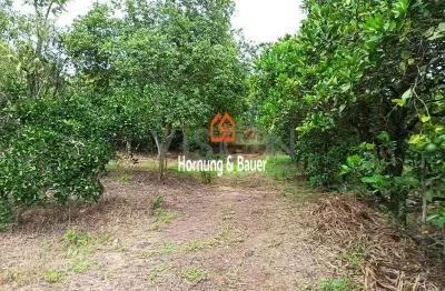 Chácara / sítio com 2 quartos à venda em Areião, Portão 