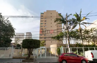Apartamento locado, com 2 quartos e 1 vaga para venda na vila romana
