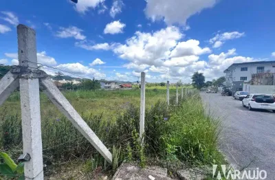 Terreno comercial para alugar na Rua Fermino Vieira Cordeiro, 697, Espinheiros, Itajaí