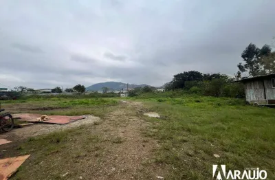 Terreno comercial para alugar na Rua Primeiro De Maio, Machados, Navegantes