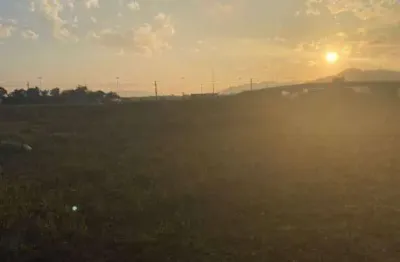 Terreno comercial para alugar na Rodovia BR-101, 8775, Cidade Nova, Itajaí