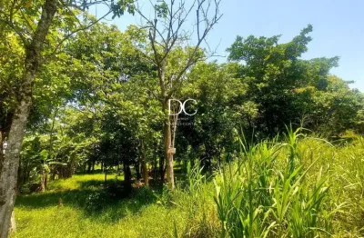 Terreno comercial à venda na rodovia ernani do amaral peixoto, vale da figueira (ponta negra), maricá por r$ 350.000