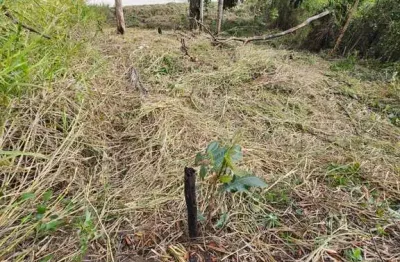 Terreno à venda na rua trinta e dois, cajueiros (itaipuaçu), maricá por r$ 85.000