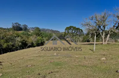 R$ 390 mil - terreno rural 20.000 m2, potencial plantio, pastagem ou painéis solares, mandirituba/pr.