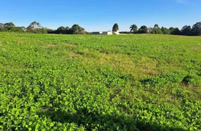 Terreno para venda em fazenda rio grande, eucaliptos