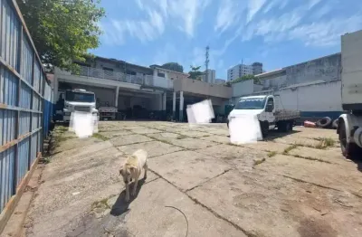 Terreno comercial para locação, vila zulmira, são paulo - te0027.