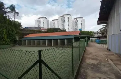Terreno plano com acesso à castelo branco ? ideal para logística ou investimento