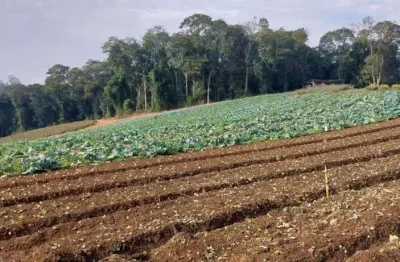 Invista em itapevi: terreno ideal para energia solar ou habitação popular 81.000 m² à venda!