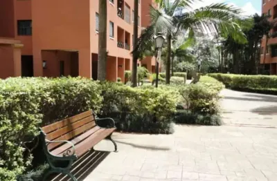 Apartamento para venda em são paulo, vila do castelo, 3 dormitórios, 1 banheiro, 1 vaga