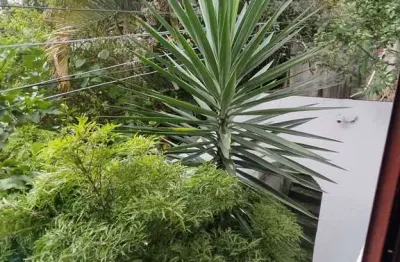 Terreno, lote em vila osasco - excelente para investidor, construtor