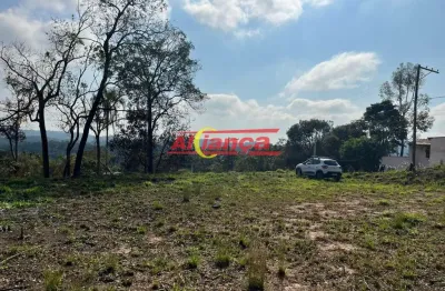 Terreno à venda na Est Henrique Barbosa Ortiz, 255, Mato Dentro, Mairiporã