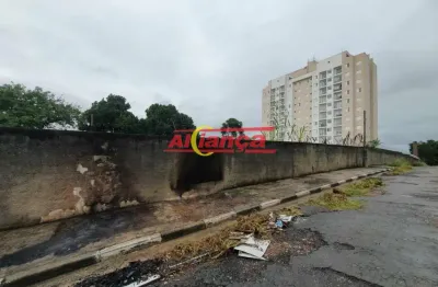 Terreno 2.800 m2 na vila nova bonsucesso, totalmente limpo, pronto para ser edificado.