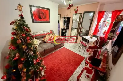 Apartamento 2 dormitórios - 48m² - jardim valéria - guarulhos/sp