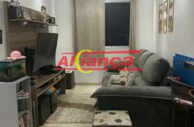 Apartamento com 2 quartos à venda na Rua Maria Zintl, 114, Cocaia, Guarulhos