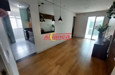 Apartamento 49m², 2 quartos, sacada- pq continetal- guarulhos-sp.