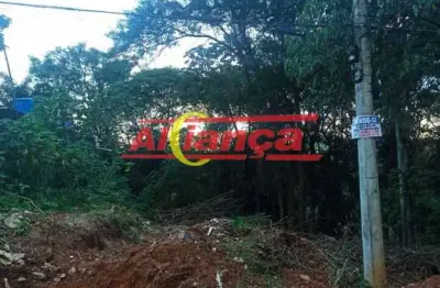 Terreno a venda, 250 m²- chacara cabuçu  - guarulhos/sp