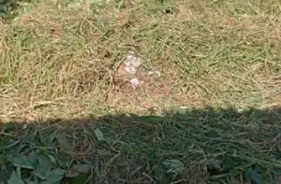 Terreno à venda no Alto Ipiranga, Mogi das Cruzes 