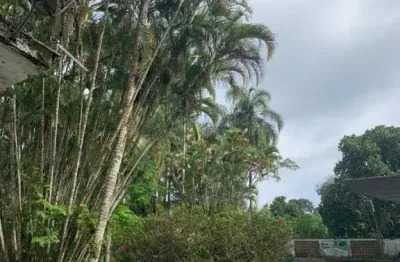 Chácara / sítio à venda no Cocuera, Mogi das Cruzes 