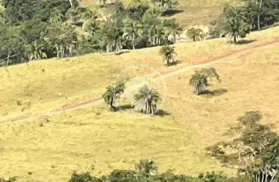Fazenda à venda na Fazenda Santa Barbara 1, S/N, Zona Rural, Cromínia