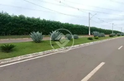Terreno - condomínio de chácaras terra santa codigo: 71598