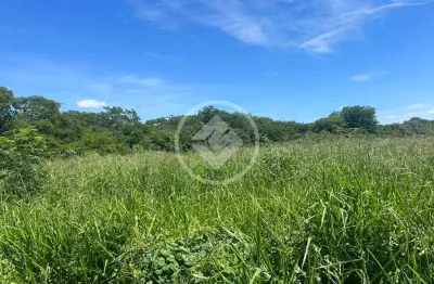 Fazenda rompe gibão - próximo a jaiba mg codigo: 89579
