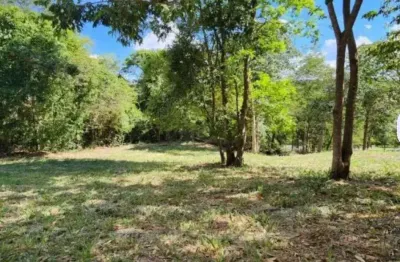 Terreno à venda na Das Espatódias, Residencial Aldeia do Vale, Goiânia