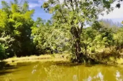 Fazenda de 36.1 alqueires  município de são miguel de passa quatro codigo: 94549