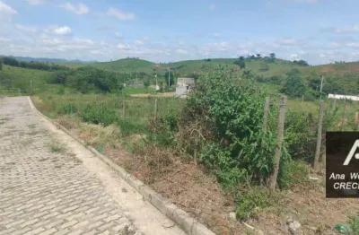 Terreno à venda, 420 m² por r$ 45.000 - jardim bela vitta - goianá/mg