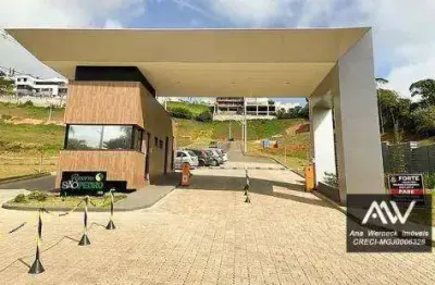 Terreno à venda, 462 m² por r$ 195.000,00 - spina ville ii - juiz de fora/mg