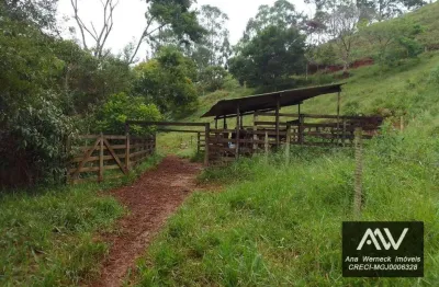 Sítio com 1 curral, 150.000.00 m², à venda por r$ 450.000.00- ewbank da camara /mg