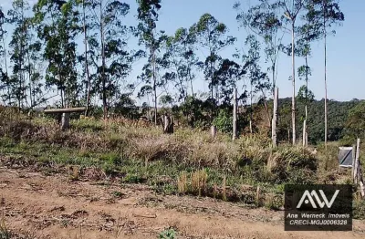 Área à venda, 1000 m² por r$ 60.000,00 - coronel pacheco - coronel pacheco/mg