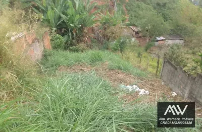 Terreno à venda, 200 m² por r$ 50.000,00 - teixeiras - juiz de fora/mg