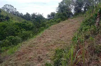 Terreno à venda, 500 m² por r$ 25.000 - dias tavares - juiz de fora/mg