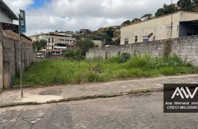 Terreno à venda, 300 m² por r$ 220.000 - nova benfica - juiz de fora/mg