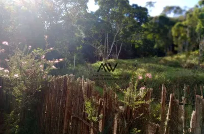 Terreno à venda, 10000 m² por r$ 162.000 - torreões - juiz de fora/mg