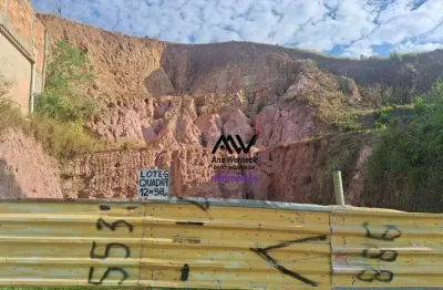 Terreno à venda, 700 m² por r$ 110.000,00 - nova benfica - juiz de fora/mg