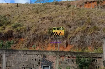 Terreno à venda, 492 m² por r$ 100.000,00 - amazonas - juiz de fora/mg