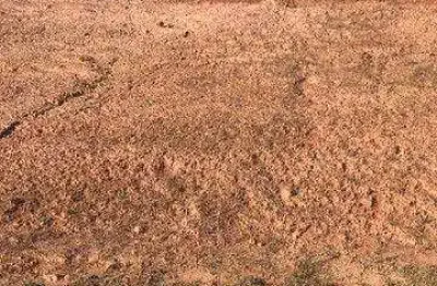Terreno à venda, 300 m² por r$ 210.000,00 - são pedro - juiz de fora/mg