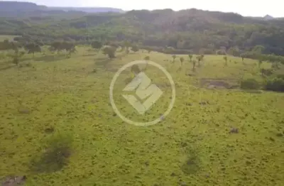 Fazenda na zona rural da cidade de caiaponia-go. codigo: 63929