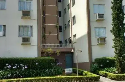 Apartamento no américa com 2 quartos para venda, 51 m²