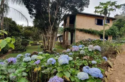 Fazenda / sítios / chácaras com 3 quartos à venda em barão de cocais