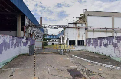 Galpão à venda, 1300 m² por r$ 6.000.000,00 - santo antônio - são caetano do sul/sp