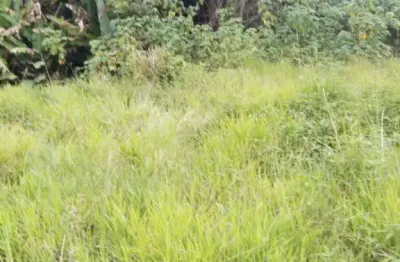 Terreno à venda na Rua Itapecuru, Jardim Marcelo, Itaquaquecetuba