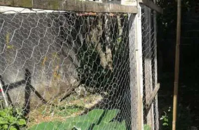 Casa com 2 quartos à venda na R. Teresa Papaes Galete, 115, Jardim Suzano, Suzano